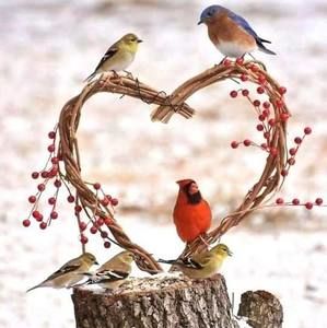 Meet your Posher, Gail